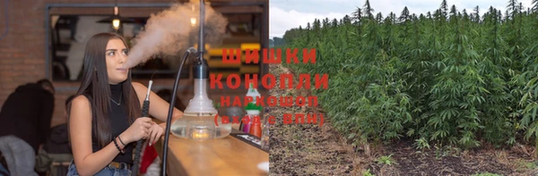 гидропоника Белоозёрский